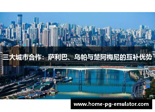 三大城市合作:萨利巴、乌帕与楚阿梅尼的互补优势 三大城市合作:萨利巴、乌帕与楚阿梅尼的互补优势