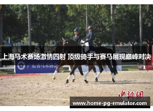 上海马术赛场激情四射 顶级骑手与赛马展现巅峰对决 上海马术赛场激情四射 顶级骑手与赛马展现巅峰对决