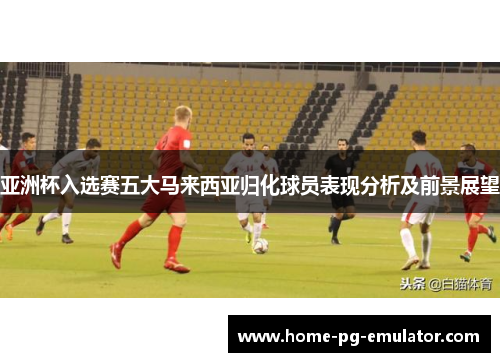 亚洲杯入选赛五大马来西亚归化球员表现分析及前景展望