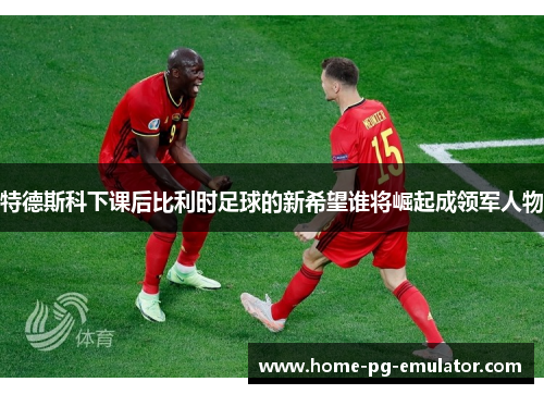 特德斯科下课后比利时足球的新希望谁将崛起成领军人物 特德斯科下课后比利时足球的新希望谁将崛起成领军人物