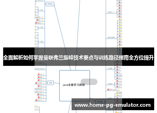 全面解析如何掌握曼联弗兰巅峰技术要点与训练路径指南全方位提升 全面解析如何掌握曼联弗兰巅峰技术要点与训练路径指南全方位提升